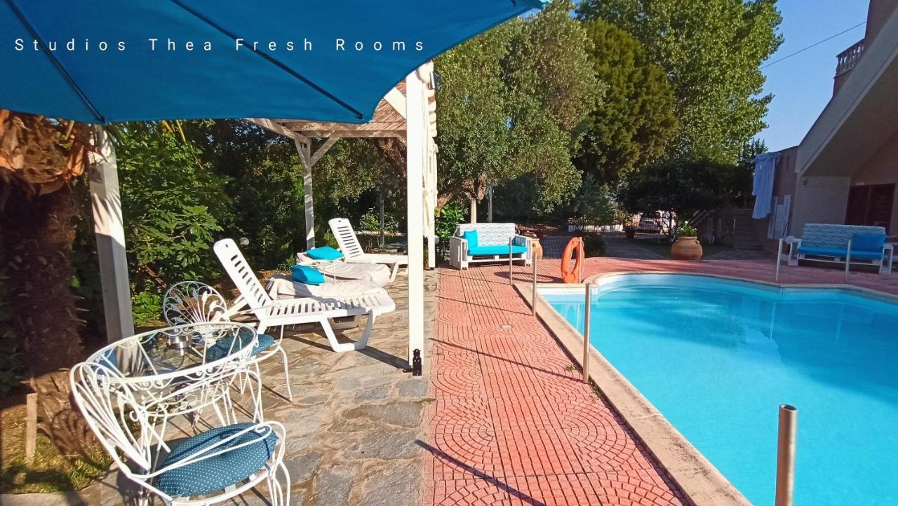 Studios Thea Fresh Rooms Thassos ภายนอก รูปภาพ