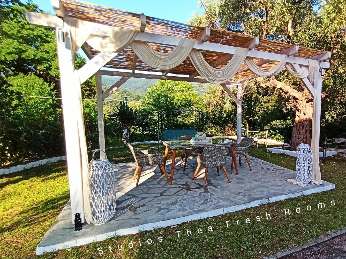 Studios Thea Fresh Rooms Thassos ภายนอก รูปภาพ