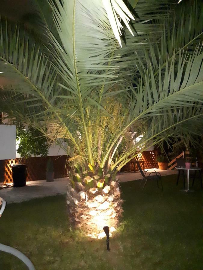 Studios Thea Fresh Rooms Thassos ภายนอก รูปภาพ